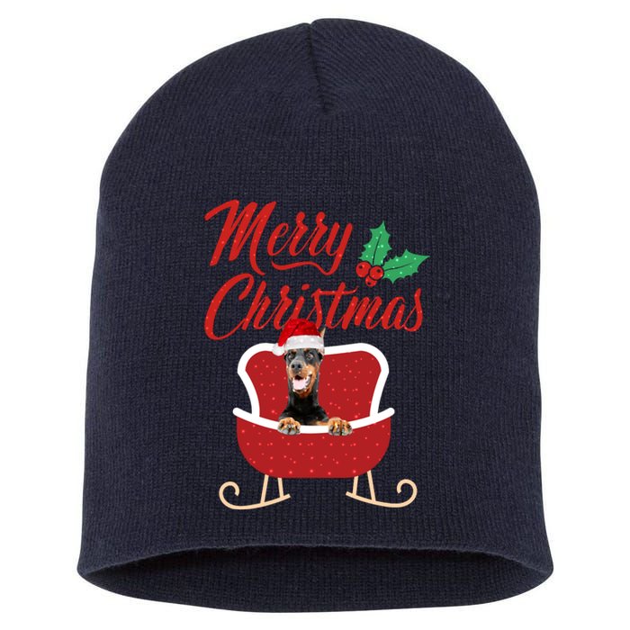 Dobermann Dog Merry Christmas Design For The Holiday Season! Short Acrylic Beanie