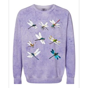 Dragonfly Dragonflies Natural Mosquito Repellent Biting Bugs Colorblast Crewneck Sweatshirt