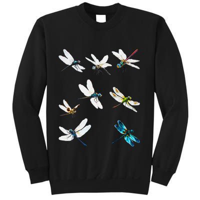 Dragonfly Dragonflies Natural Mosquito Repellent Biting Bugs Sweatshirt