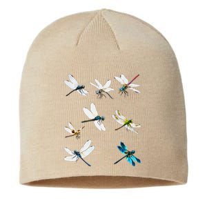 Dragonfly Dragonflies Natural Mosquito Repellent Biting Bugs Sustainable Beanie