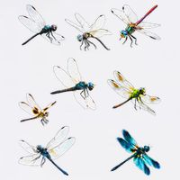Dragonfly Dragonflies Natural Mosquito Repellent Biting Bugs Garment-Dyed Sweatshirt