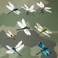 Dragonfly Dragonflies Natural Mosquito Repellent Biting Bugs Legacy Tie Dye Trucker Hat