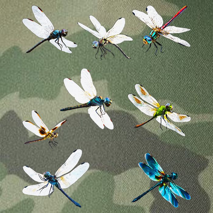 Dragonfly Dragonflies Natural Mosquito Repellent Biting Bugs Legacy Tie Dye Trucker Hat