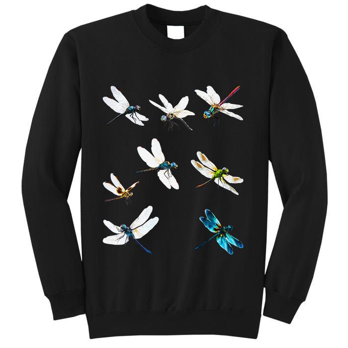 Dragonfly Dragonflies Natural Mosquito Repellent Biting Bugs Sweatshirt