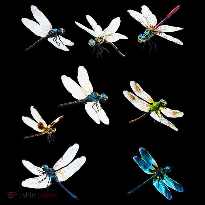 Dragonfly Dragonflies Natural Mosquito Repellent Biting Bugs Poster