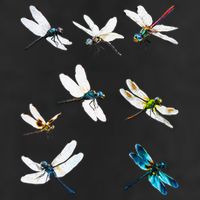 Dragonfly Dragonflies Natural Mosquito Repellent Biting Bugs 25L Jumbo Tote
