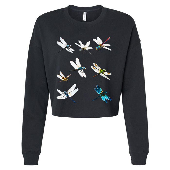 Dragonfly Dragonflies Natural Mosquito Repellent Biting Bugs Cropped Pullover Crew