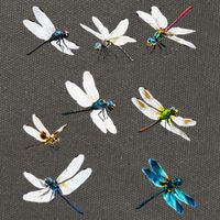 Dragonfly Dragonflies Natural Mosquito Repellent Biting Bugs Cotton Canvas Backpack