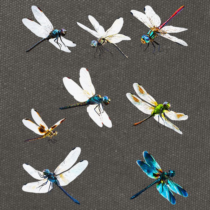 Dragonfly Dragonflies Natural Mosquito Repellent Biting Bugs Cotton Canvas Backpack