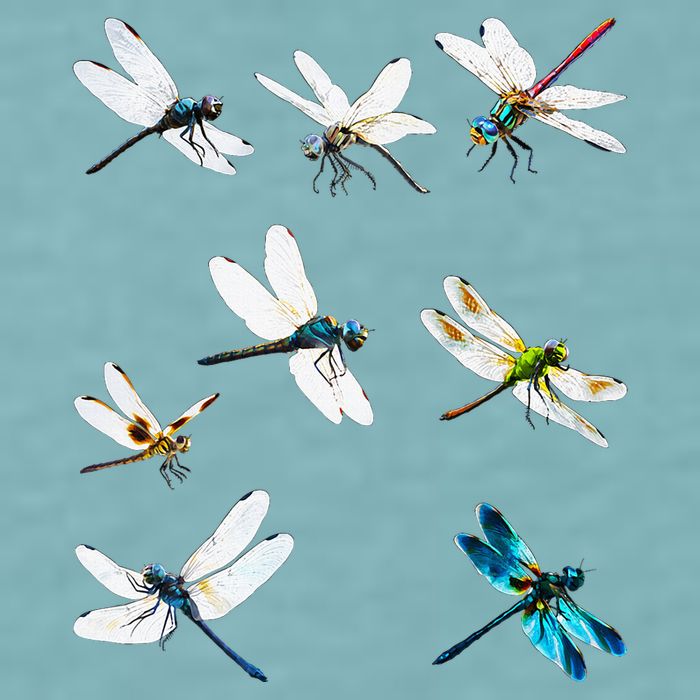 Dragonfly Dragonflies Natural Mosquito Repellent Biting Bugs Sueded Cloud Jersey T-Shirt