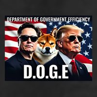 Doge Department Of Government Efficiency 25L Jumbo Tote