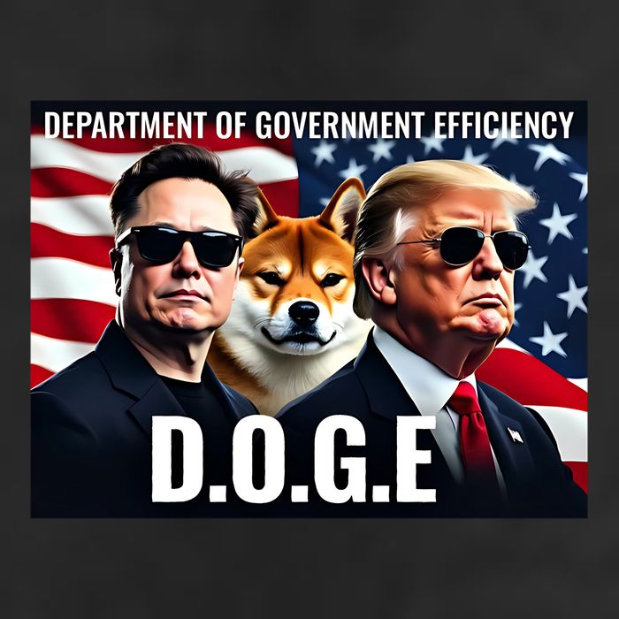 Doge Department Of Government Efficiency 25L Jumbo Tote