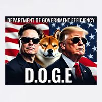Doge Department Of Government Efficiency Cooling Performance Long Sleeve Crew