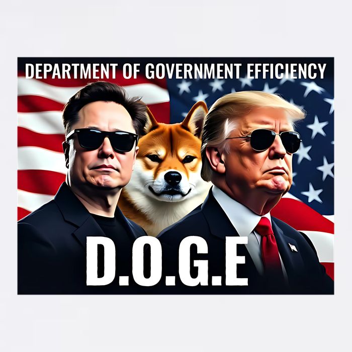 Doge Department Of Government Efficiency Cooling Performance Long Sleeve Crew