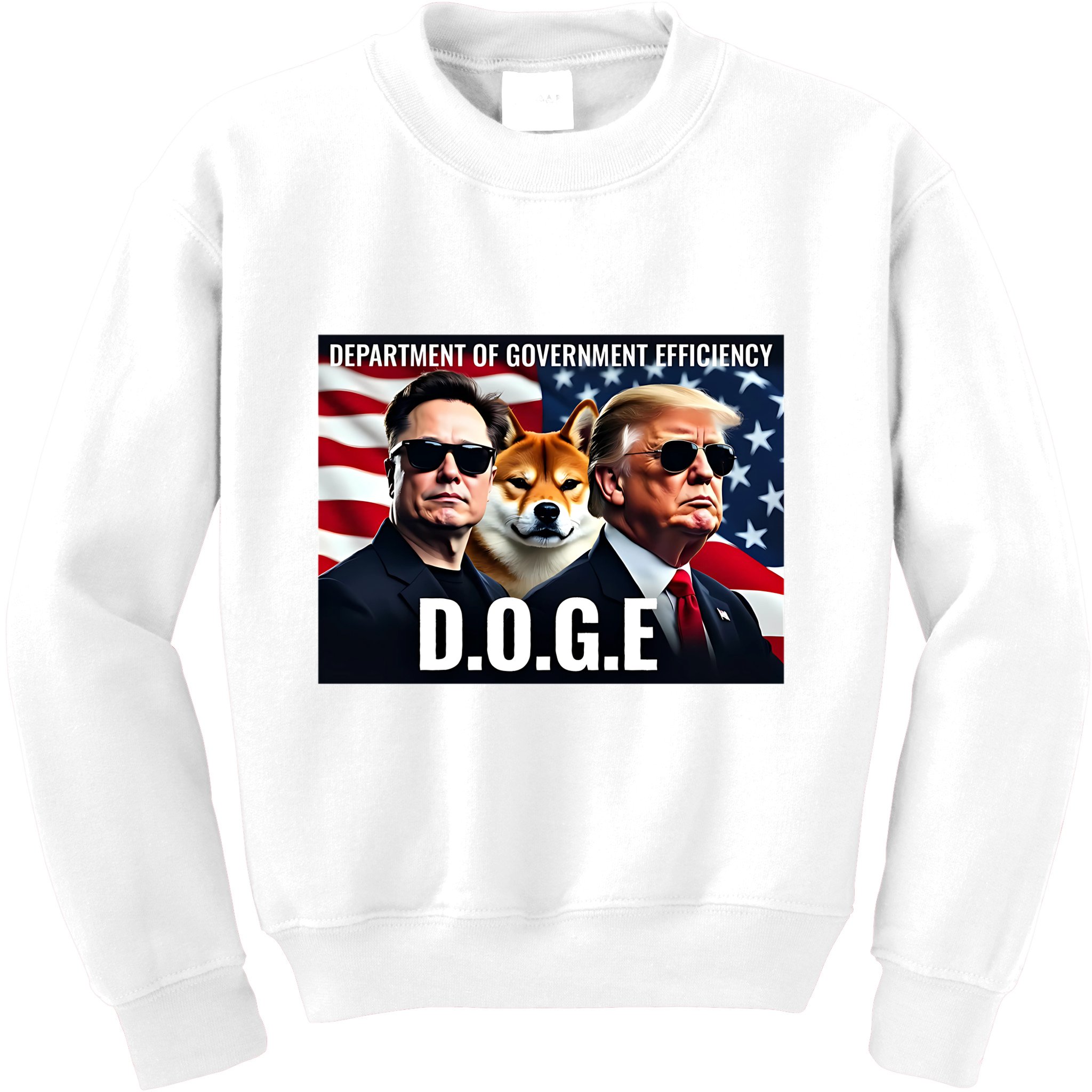 Doge Department Of Government Efficiency Kids Sweatshirt