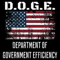 D.O.G.E. Department Of Government Efficiency Satirical Humor 16 in Basic Backpack