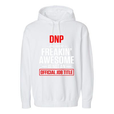 Dnp Doctor Of Nursing Practice Job Title Rn Nurse Gift Garment-Dyed Fleece Hoodie