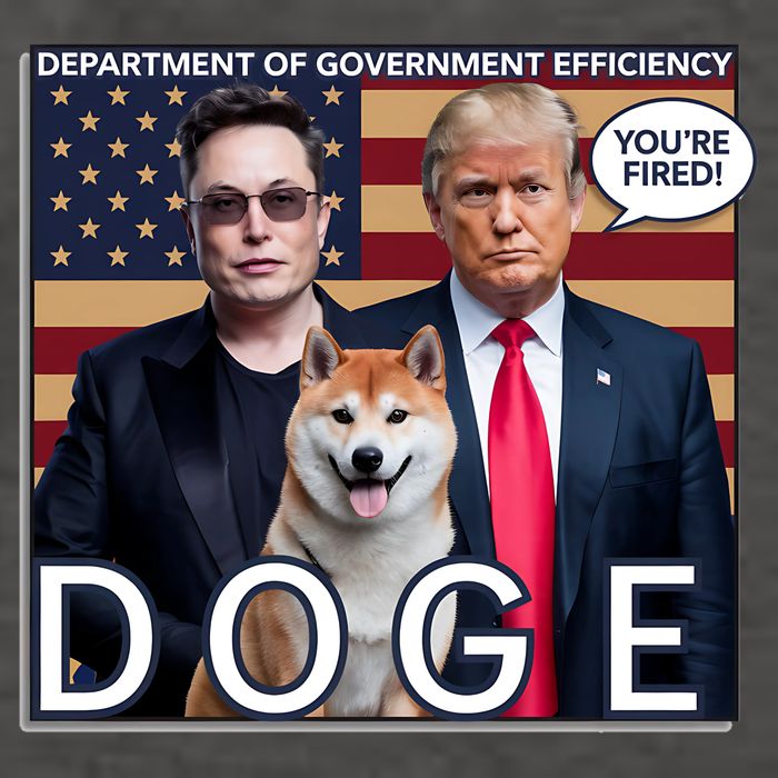 Doge Department Of Government Efficiency Vector Backpack