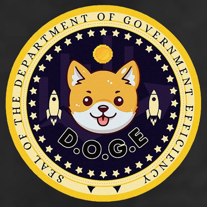 D.O.G.E Department Of Government Efficiency Crypto Cbdc Cool Comfort Performance Bucket Hat