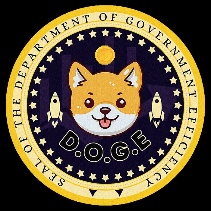 D.O.G.E Department Of Government Efficiency Crypto Cbdc Backpack