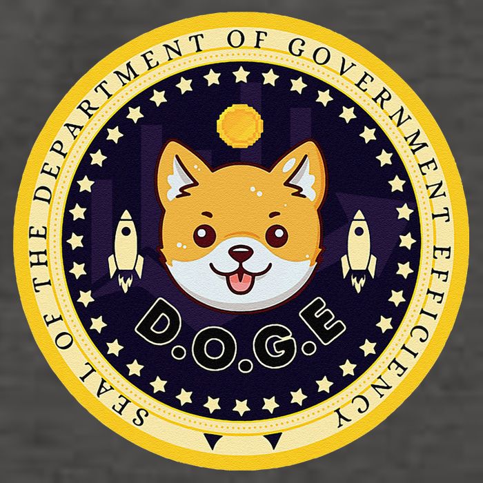 D.O.G.E Department Of Government Efficiency Crypto Cbdc Vector Backpack