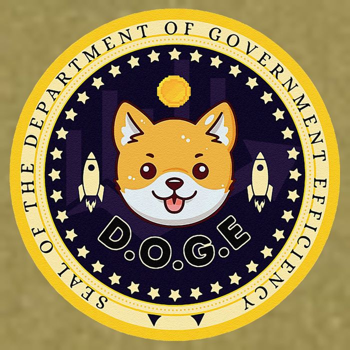 D.O.G.E Department Of Government Efficiency Crypto Cbdc Garment-Dyed Women's Muscle Tee