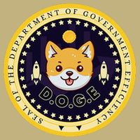 D.O.G.E Department Of Government Efficiency Crypto Cbdc Tall Long Sleeve T-Shirt
