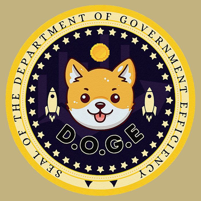D.O.G.E Department Of Government Efficiency Crypto Cbdc Tall Long Sleeve T-Shirt