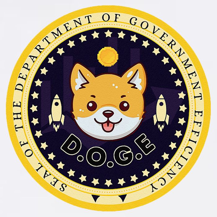 D.O.G.E Department Of Government Efficiency Crypto Cbdc Garment-Dyed Sweatshirt