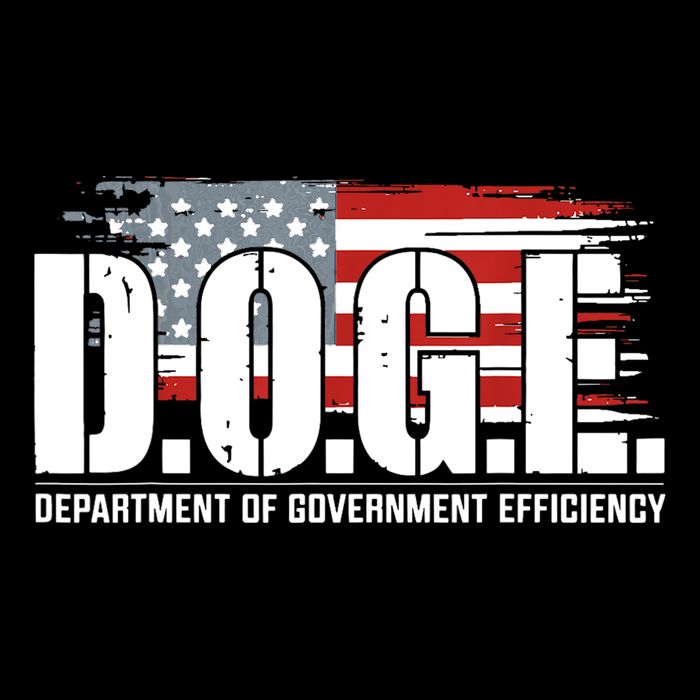 Doge Department Of Government Efficiency D.O.G.E Backpack