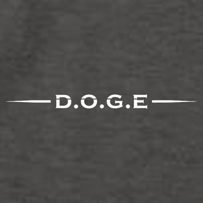 Doge Department Of Government Efficiency Doge Vector Backpack