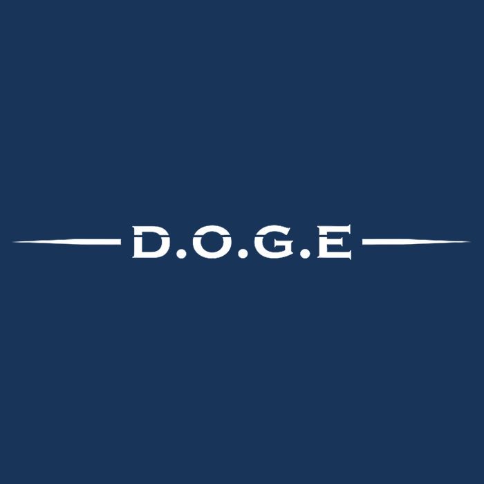 Doge Department Of Government Efficiency Doge Infant Baby Jersey Bodysuit