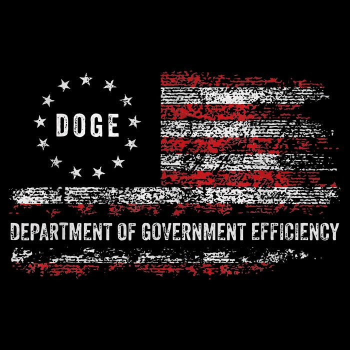 Doge Department Of Government Efficiency D.O.G.E Flatbill Hat