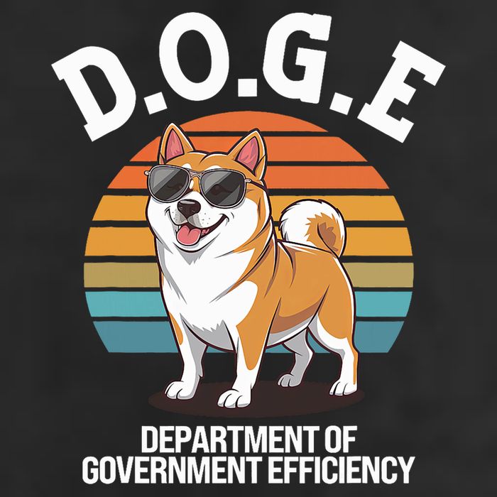 Doge Department Of Government Efficiency Cute Shiba Inu Dog 7 Panel Mesh Trucker Snapback Hat