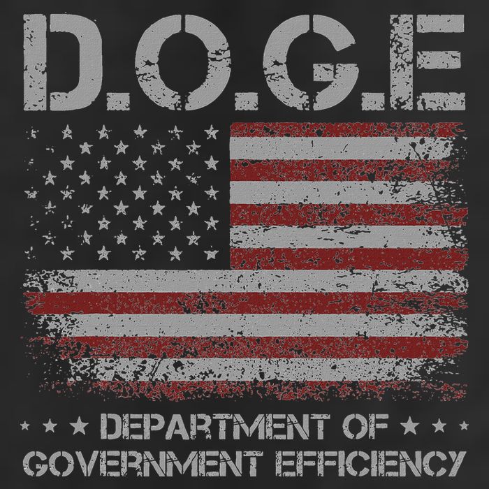 Doge Department Of Government Efficiency  Doge Adult Drive Performance Visor