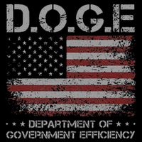 Doge Department Of Government Efficiency  Doge 16 in Basic Backpack