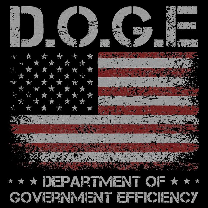 Doge Department Of Government Efficiency  Doge 16 in Basic Backpack