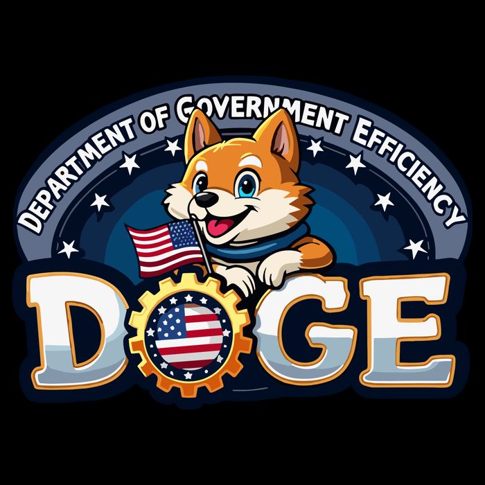 Doge Department Of Government Efficiency T-Shirt