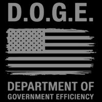 Doge Department Of Government Efficiency 16 in Basic Backpack