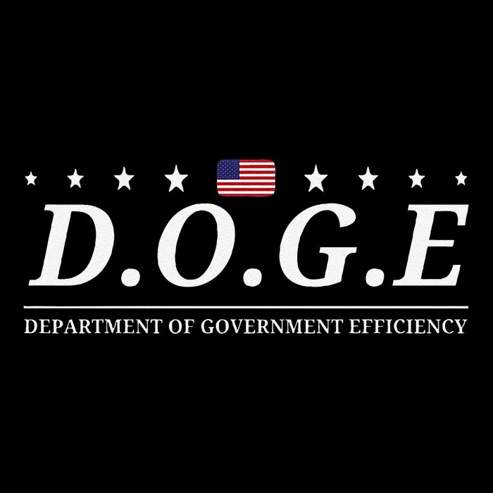 Doge Department Of Government Efficiency D.O.G.E 16 in Basic Backpack