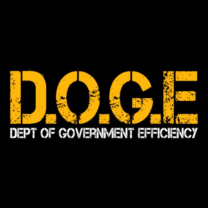 Doge Department Of Government Efficiency Cooling Performance Crew T-Shirt