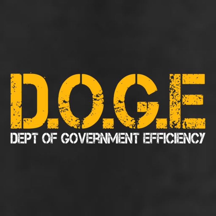 Doge Department Of Government Efficiency 11oz C Handle Ceramic Mug