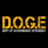 Doge Department Of Government Efficiency Bag