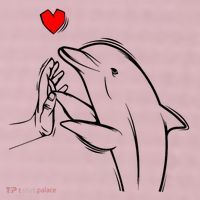 Dolphin 25L Jumbo Tote