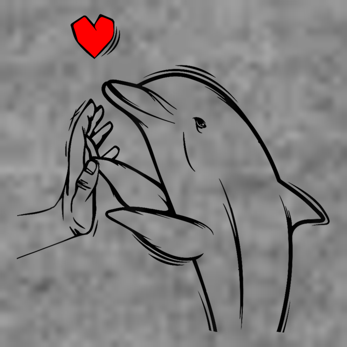 Dolphin Toddler Sweatshirt