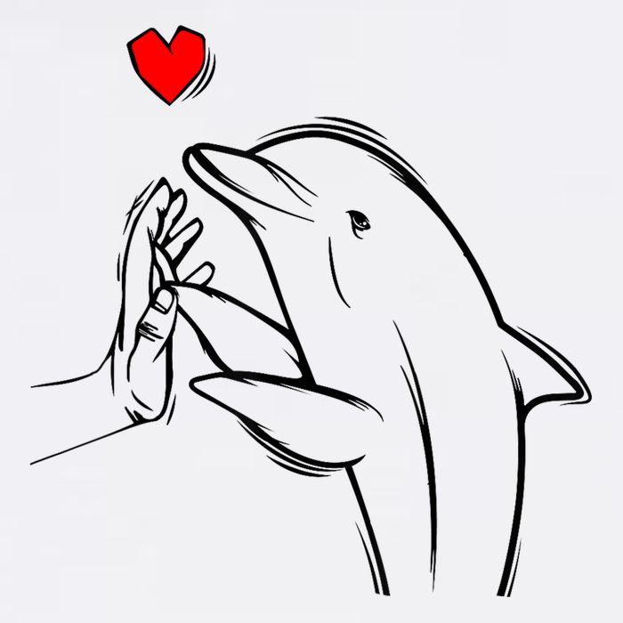 Dolphin Cooling Performance Long Sleeve Crew