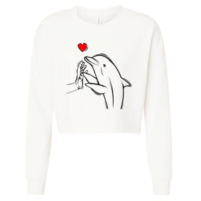 Dolphin Cropped Pullover Crew