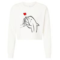 Dolphin Cropped Pullover Crew