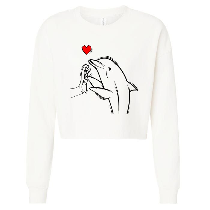 Dolphin Cropped Pullover Crew