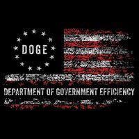 Doge Department Of Government Efficiency D.O.G.E. Us Flag Poster